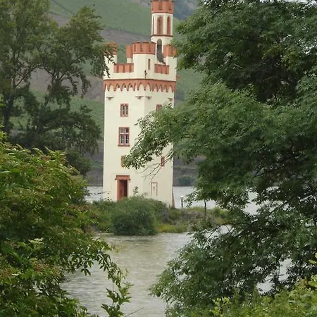 Hotell Schuster Und Gaestehaus Rüdesheim am Rhein