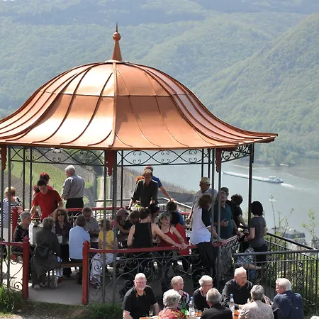 Schuster Und Gaestehaus 3* רודסהיים אם ריין