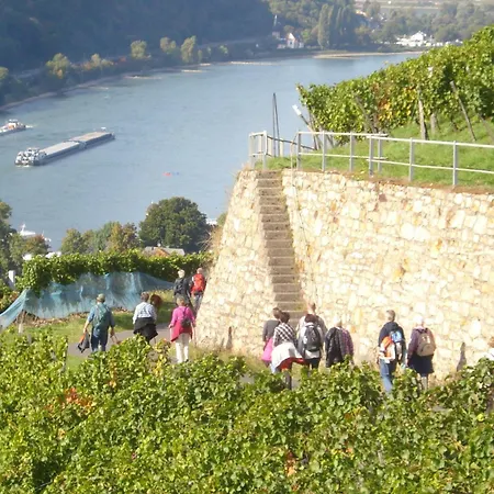 Schuster Und Gaestehaus 3*