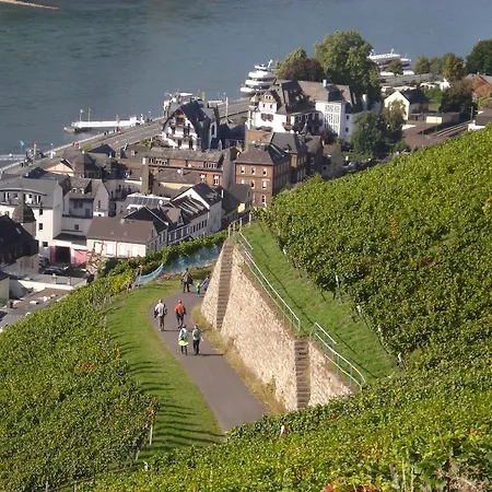 Hotell Schuster Und Gaestehaus Rüdesheim am Rhein
