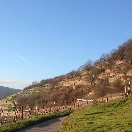 Schuster Und Gaestehaus Rüdesheim am Rhein