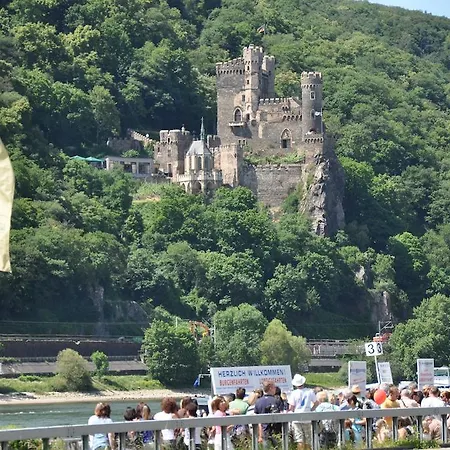 Schuster Und Gaestehaus