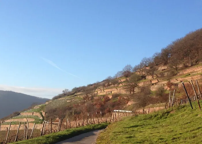 Schuster Und Gaestehaus מלון רודסהיים אם ריין