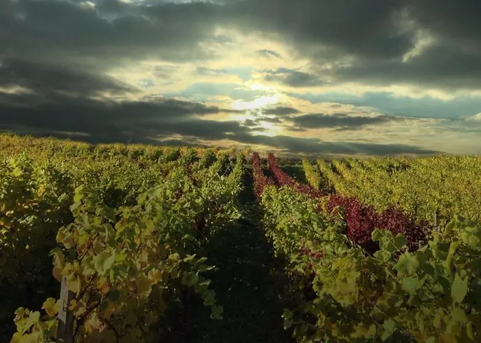 Schuster Und Gaestehaus Готель 3*