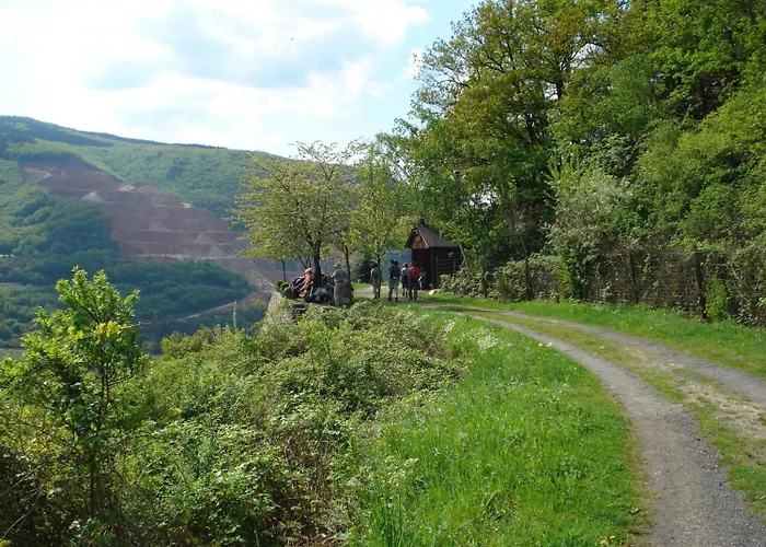 Schuster Und Gaestehaus רודסהיים אם ריין