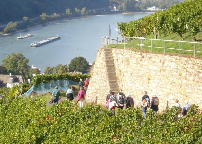 Schuster Und Gaestehaus 3*