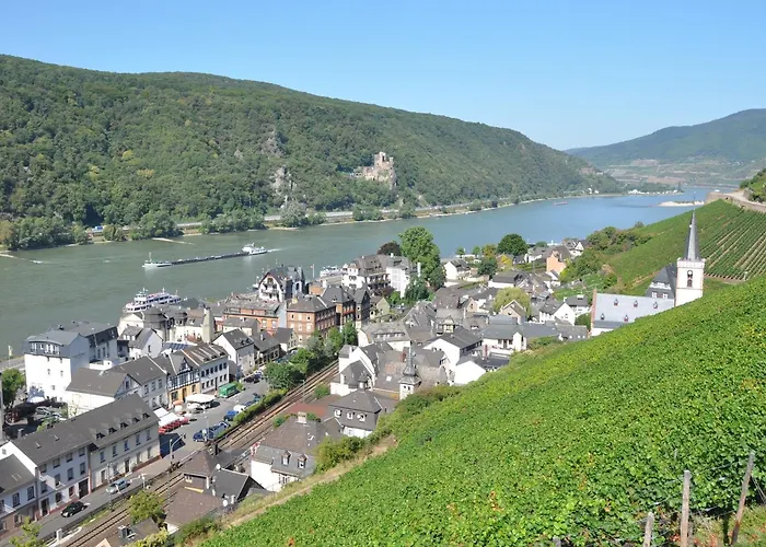 מלון Schuster Und Gaestehaus